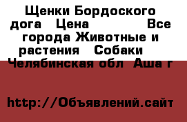 Щенки Бордоского дога › Цена ­ 60 000 - Все города Животные и растения » Собаки   . Челябинская обл.,Аша г.